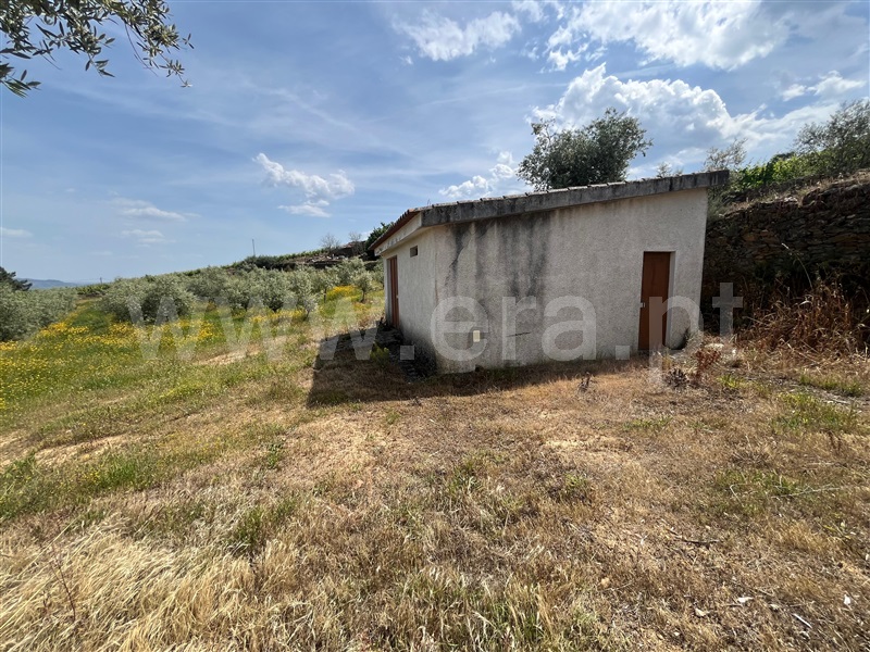 Moradia T3 à venda em São Mamede de Ribatua, Alijó — foto 13