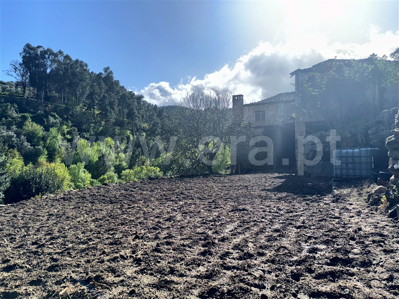Moradia Isolada T3 / Armamar, São Cosmado