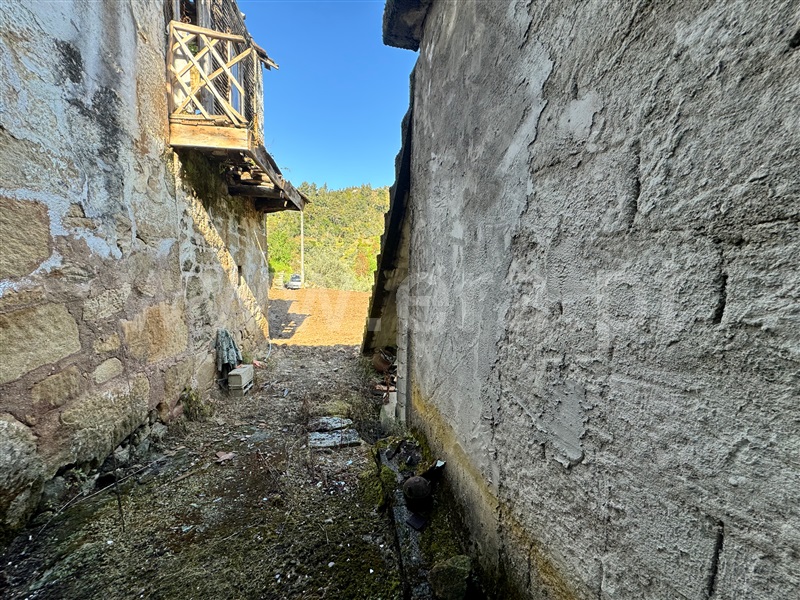 Moradia Isolada T3 Armamar, São Cosmado - 1399570 - 5