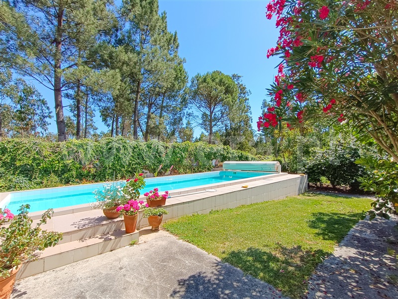 Moradia Isolada T3 com Piscina Aveiro, Requeixo, Nossa Senhora de Fátima e Nariz - 1479602 - 17