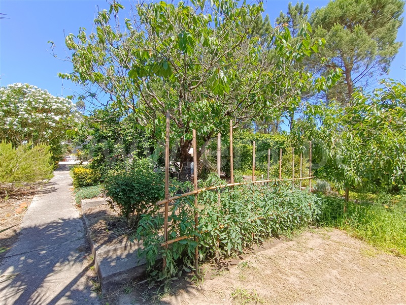 Moradia Isolada T3 com Piscina Aveiro, Requeixo, Nossa Senhora de Fátima e Nariz - 1479602 - 19