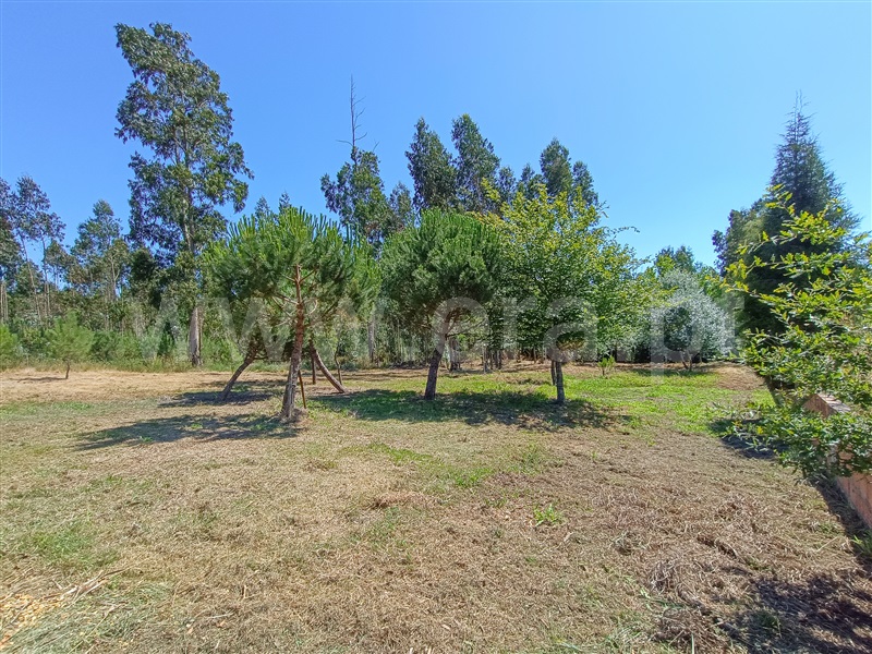 Moradia Isolada T3 com Piscina Aveiro, Requeixo, Nossa Senhora de Fátima e Nariz - 1479602 - 20