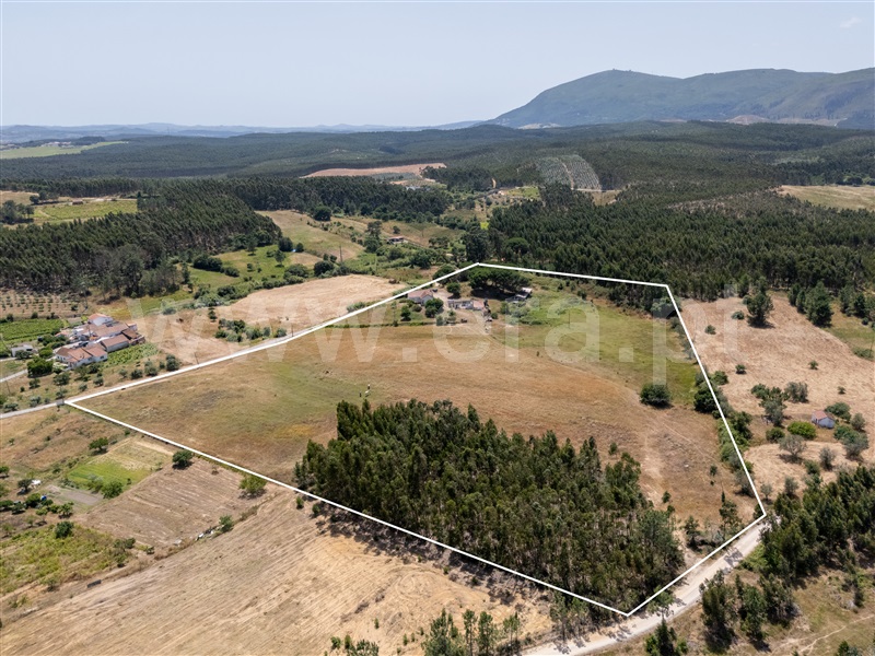 Moradia T3 à venda em Alcoentre, Azambuja — foto 4