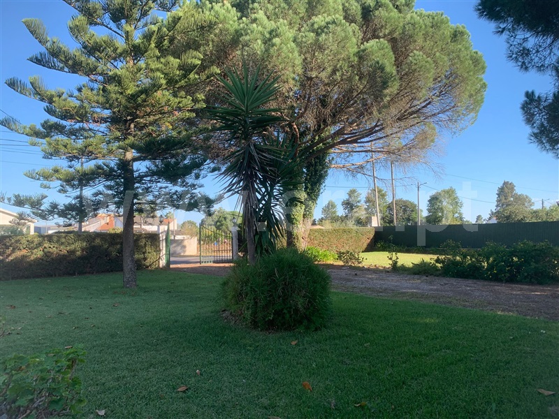 Moradia Isolada T3 / Benavente, Benavente