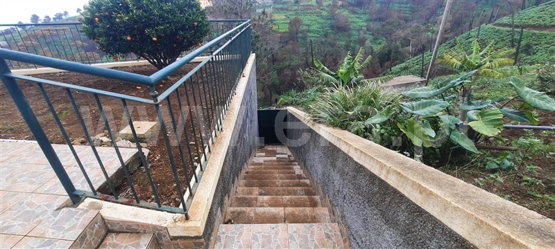 Moradia T3 à venda em Fajã da Ovelha, Calheta — foto 6