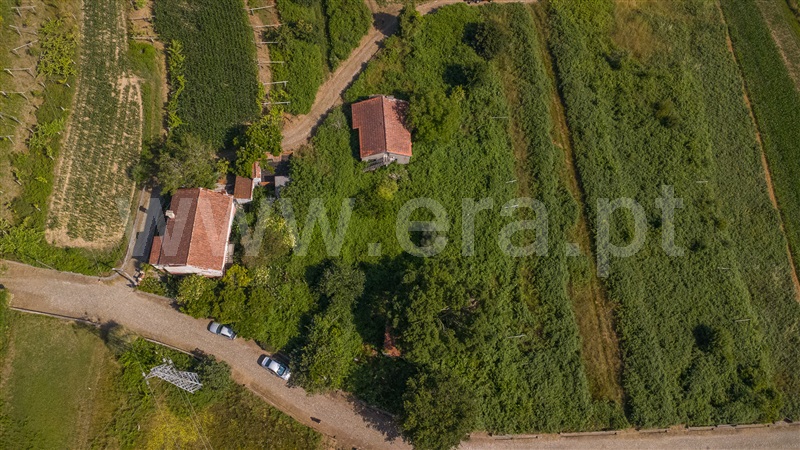 Moradia Isolada T3 / Caminha, Caminha (Matriz) e Vilarelho
