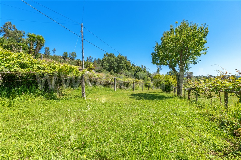 Moradia Isolada T3 com Terreno Caminha, Dem - 1400291 - 35