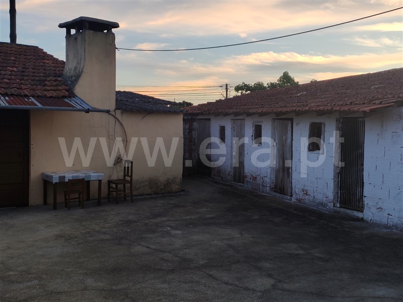 Moradia Isolada T3 Cantanhede, Cabeços - 1352889 - 10