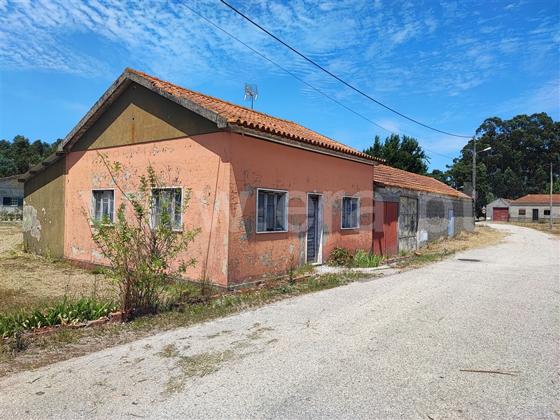 Moradia Isolada T3 / Cantanhede, Sanguinheira