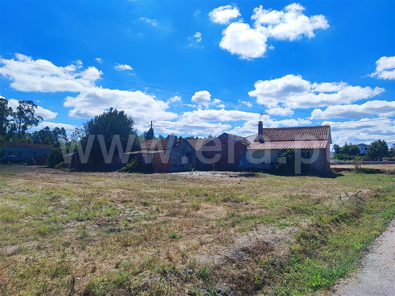 Moradia T3 à venda em Sanguinheira, Cantanhede — foto 3