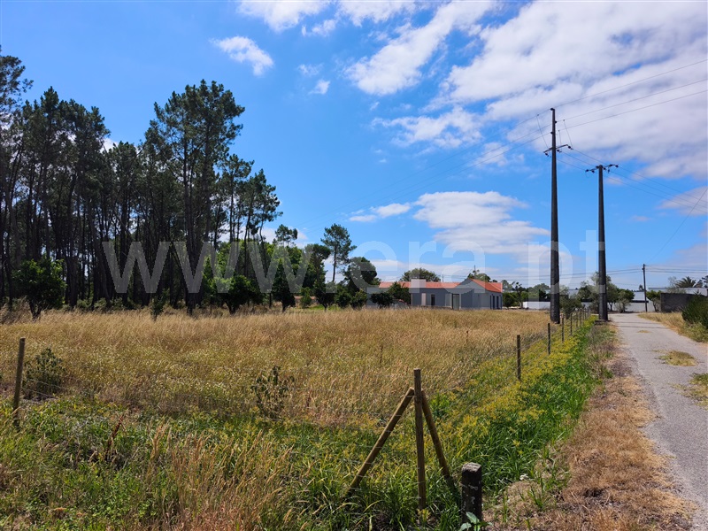 Moradia T3 à venda em Sanguinheira, Cantanhede — foto 18