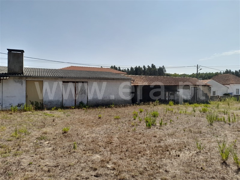 Moradia Isolada T3 Cantanhede, Vilamar - 1340431 - 9