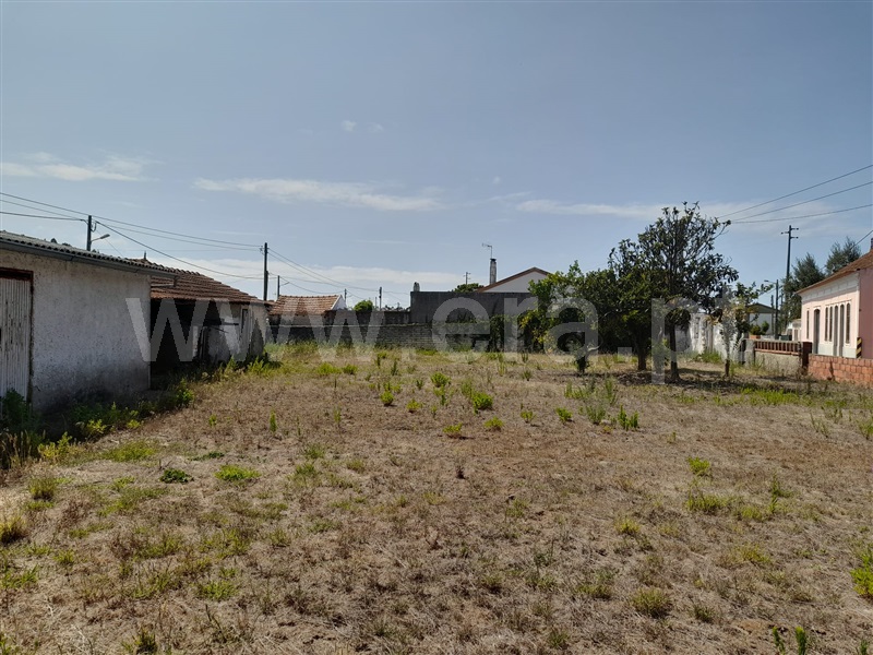 Moradia Isolada T3 Cantanhede, Vilamar - 1340431 - 10