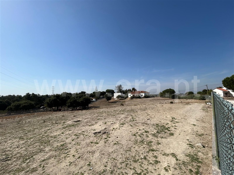 Moradia Isolada T3 Cartaxo, Cartaxo e Vale da Pinta - 1514513 - 4