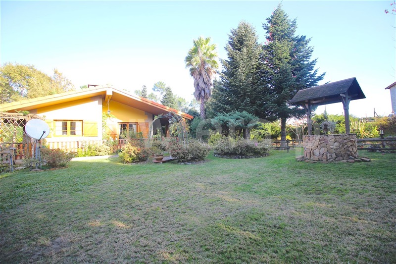 Moradia Isolada T3 / Celorico de Basto, Ribas