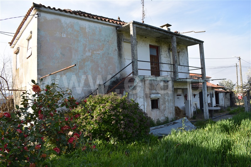 Moradia Isolada T3 Chaves, Madalena e Samaiões - 1143379 - 3