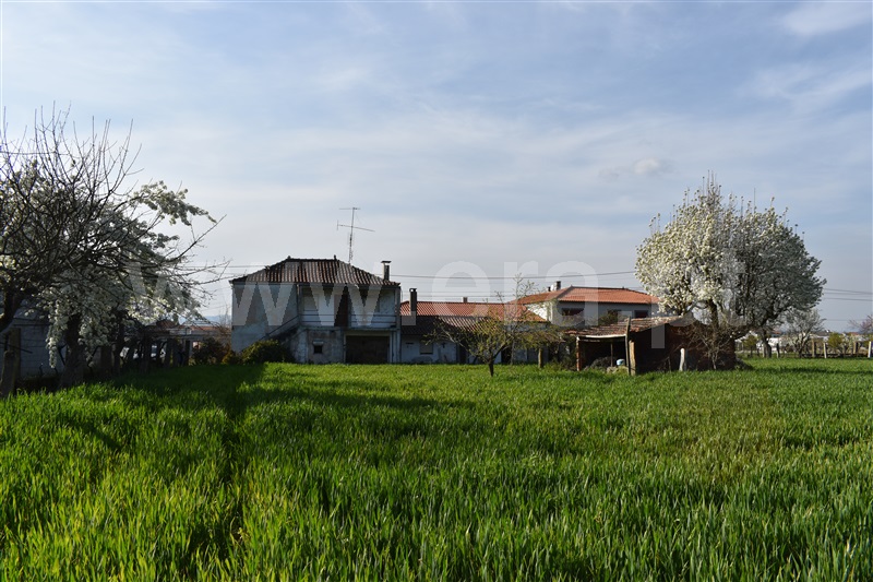 Moradia Isolada T3 / Chaves, Madalena e Samaiões