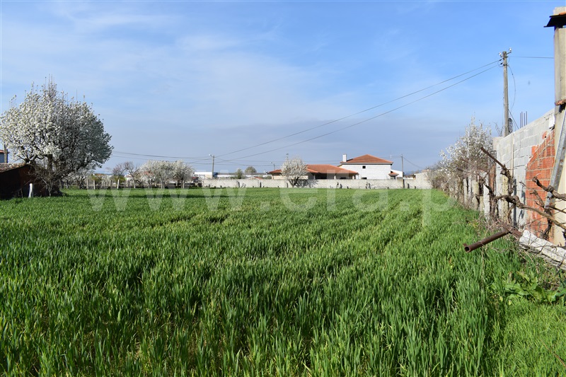 Moradia Isolada T3 Chaves, Madalena e Samaiões - 1143379 - 4