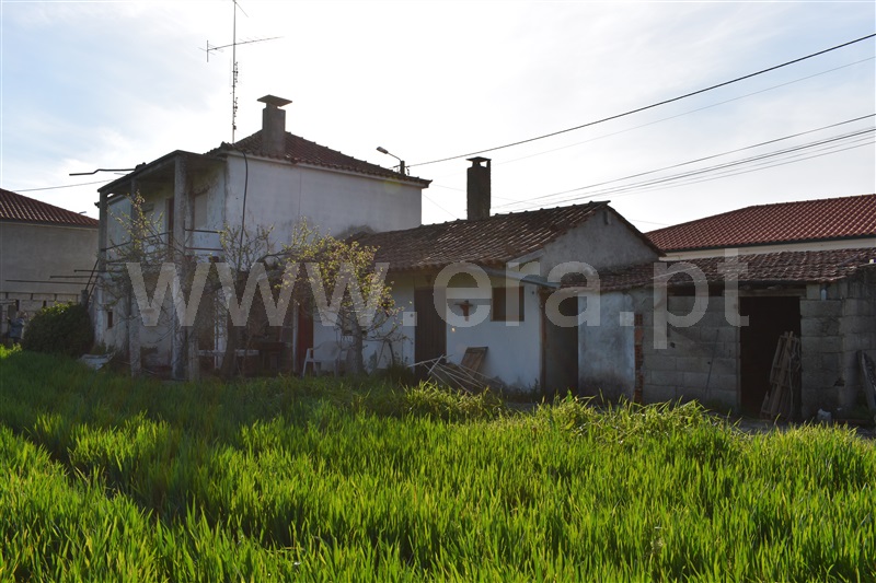 Moradia Isolada T3 Chaves, Madalena e Samaiões - 1143379 - 5