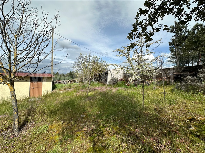 Moradia Isolada T3 Chaves, Vale de Anta - 1395938 - 18