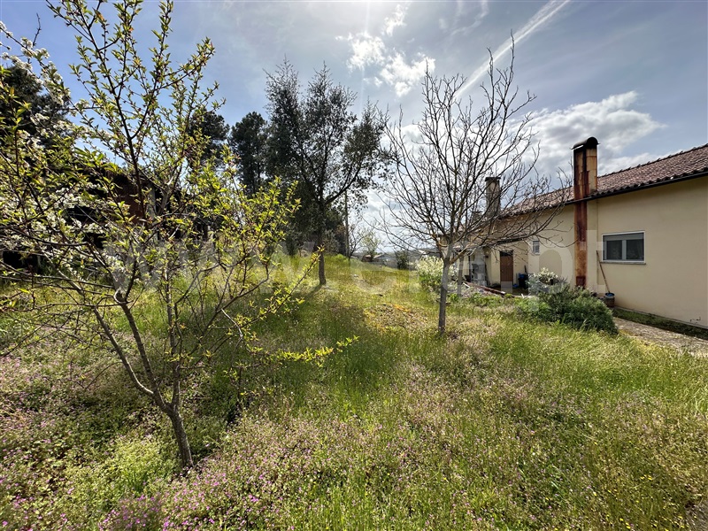 Moradia Isolada T3 Chaves, Vale de Anta - 1395938 - 20