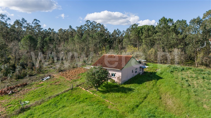 Moradia Isolada T3 Condeixa-a-Nova, Sebal - 1464960 - 4