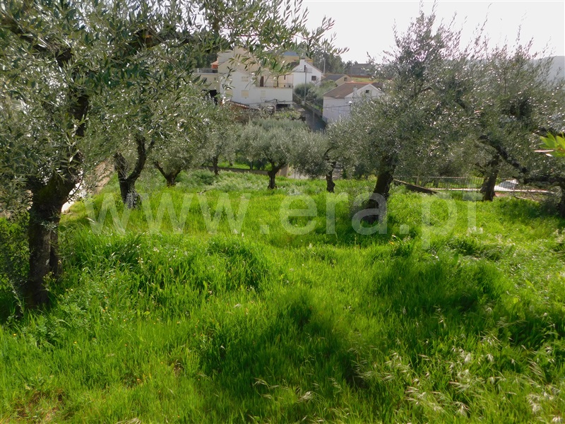 Moradia Isolada T3 Covilhã, Coutada - 1085153 - 2