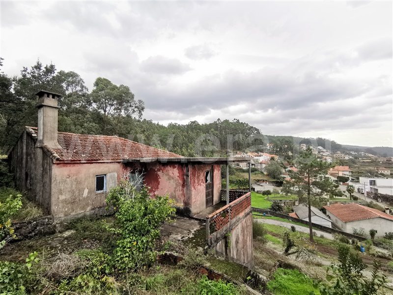 Moradia Isolada T3 Esposende, Curvos - 1281399 - 10