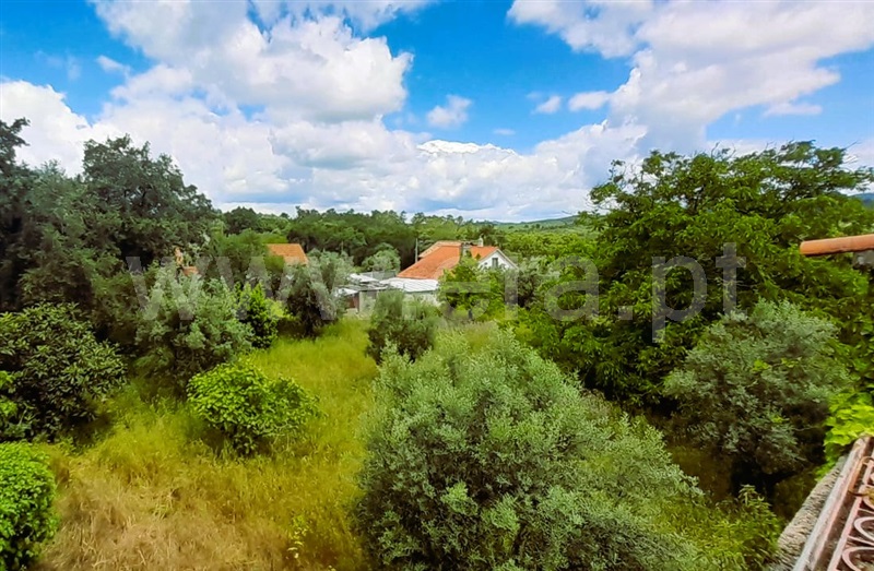 Moradia Isolada T3 Ferreira do Zêzere, Areias e Pias - 1407727 - 10