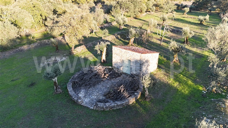 Moradia T3 à venda em Areias e Pias, Ferreira do Zêzere — foto 4