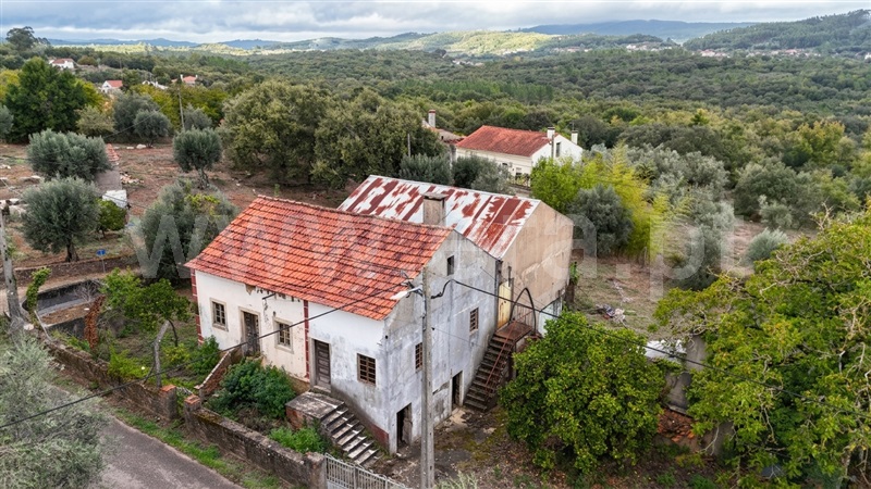 Moradia Isolada T3 / Ferreira do Zêzere, Areias e Pias