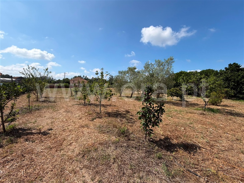 Moradia T3 à venda em Moinhos da Gândara, Figueira da Foz — foto 11