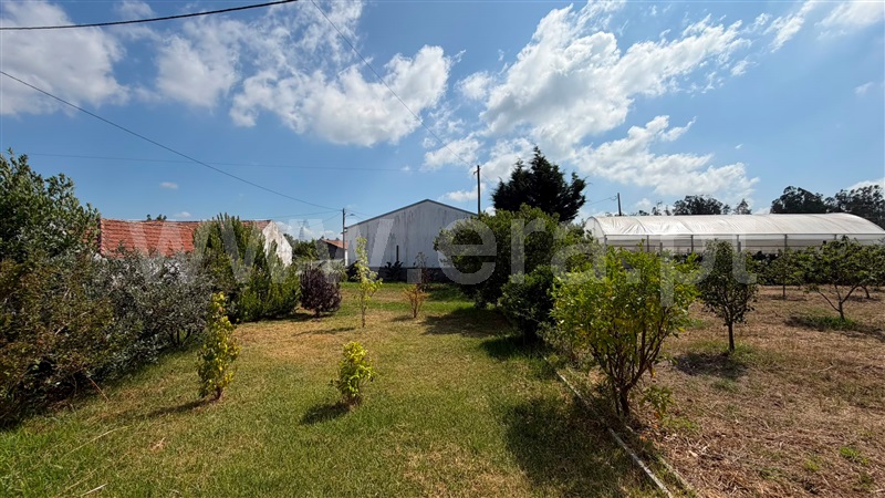 Moradia T3 à venda em Moinhos da Gândara, Figueira da Foz — foto 12