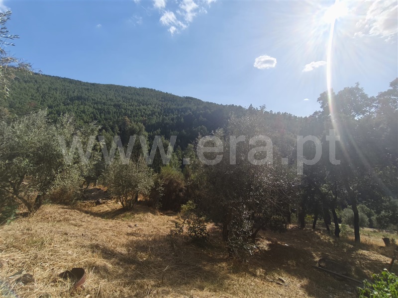 Moradia Isolada T3 Fundão, Bogas de Cima - 1513873 - 10