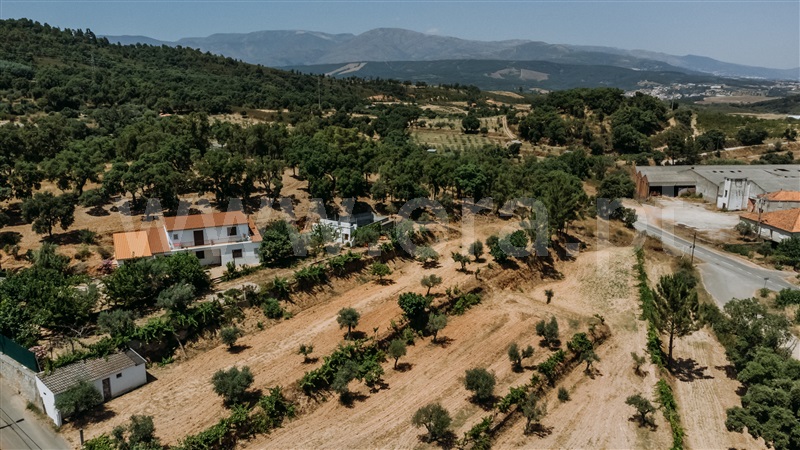Moradia Isolada T3 / Fundão, Telhado