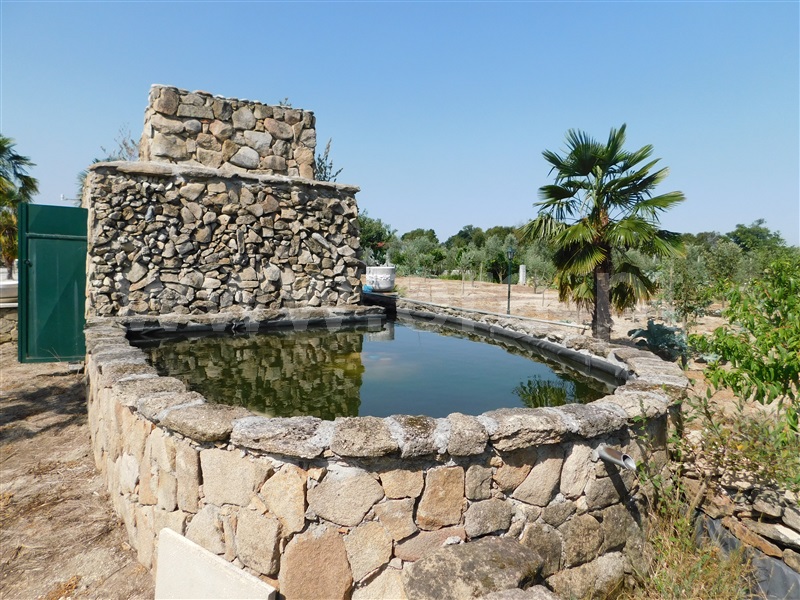 Moradia Isolada T3 Gouveia, São Paio - 1193167 - 33