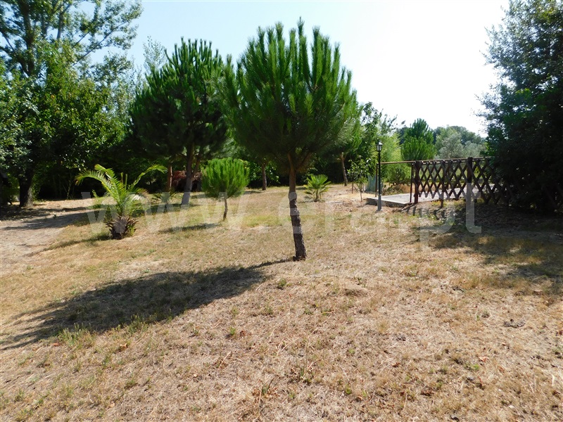 Moradia Isolada T3 Gouveia, São Paio - 1193167 - 39