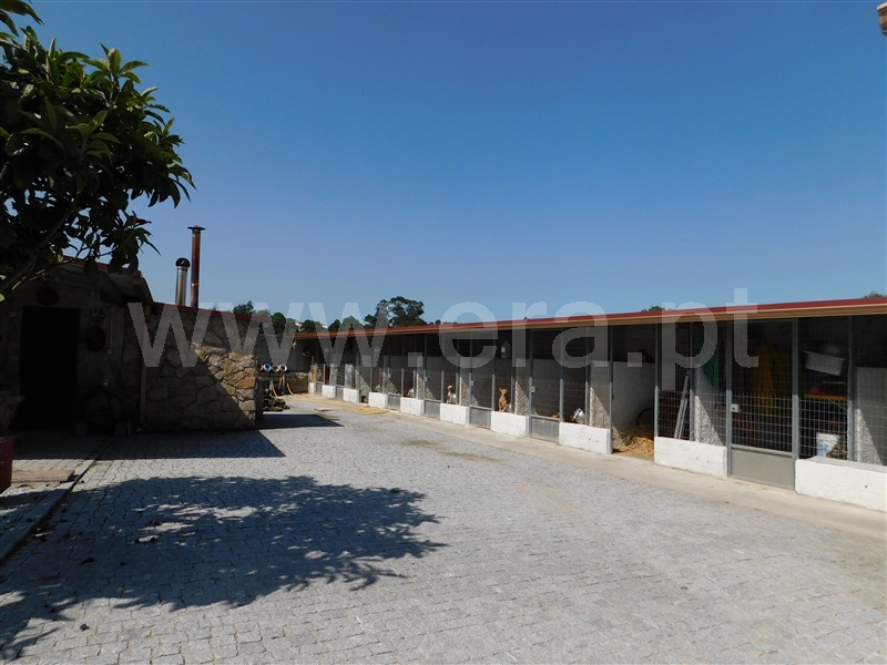 Moradia Isolada T3 Gouveia, São Paio - 1193167 - 52