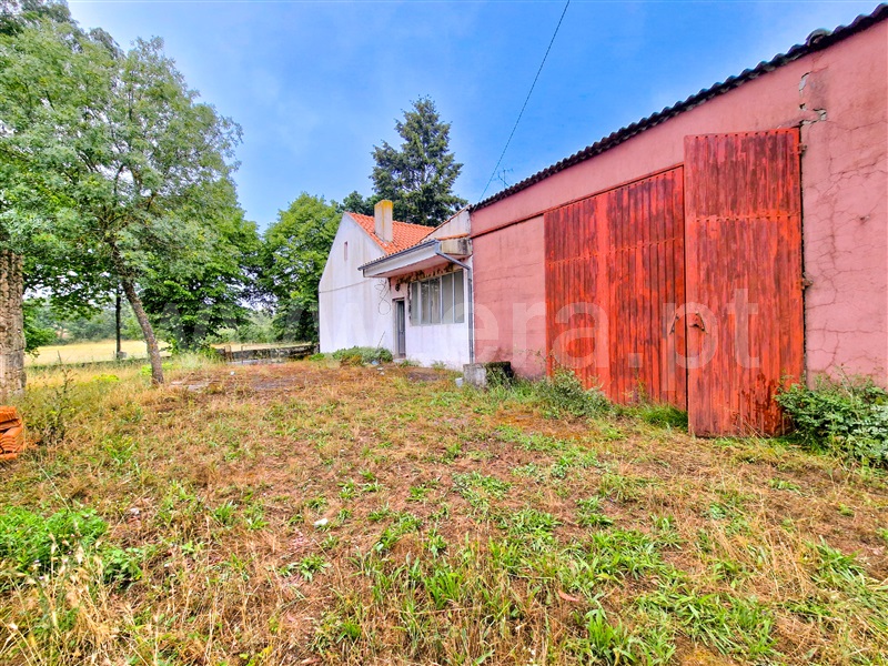 Moradia T3 à venda em Jarmelo São Miguel, Guarda — foto 10