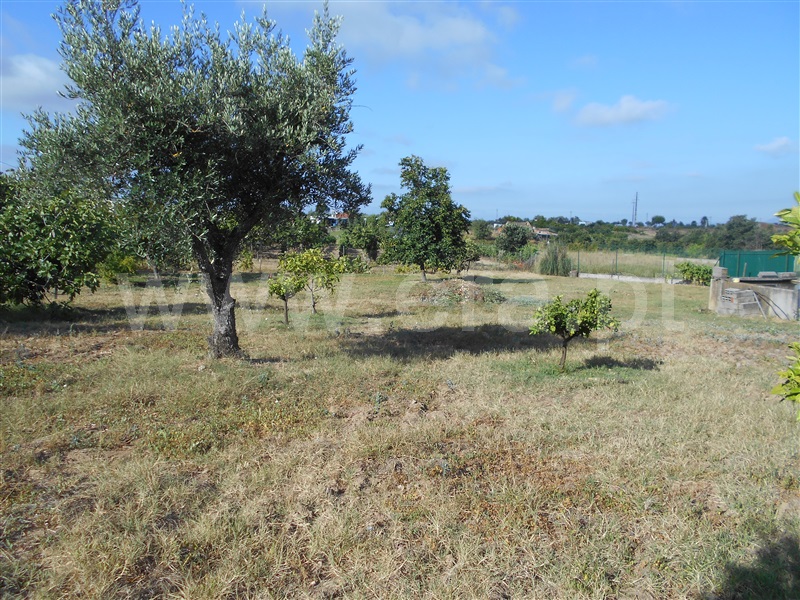 Moradia Isolada T3 Idanha-a-Nova, Ladoeiro - 928802 - 40