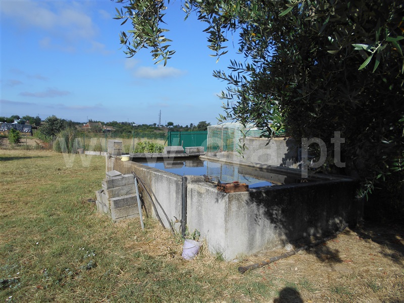 Moradia Isolada T3 Idanha-a-Nova, Ladoeiro - 928802 - 38