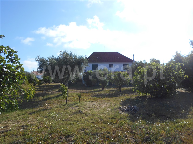Moradia Isolada T3 Idanha-a-Nova, Ladoeiro - 928802 - 35