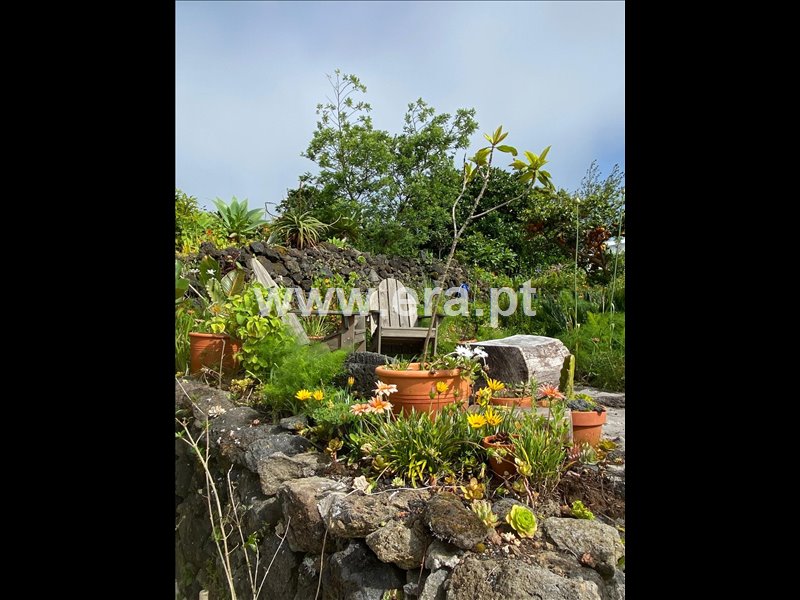 Moradia T3 à venda em Piedade, Lajes do Pico — foto 12