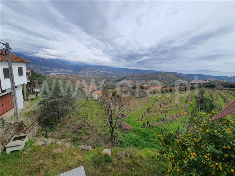 Moradia Isolada T3 Lamego, Cambres - 1354721 - 13
