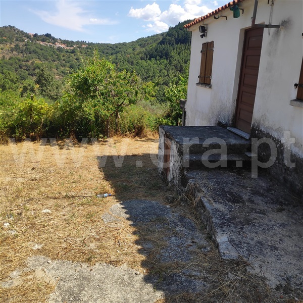 Moradia Isolada  Lamego, Penude - 1330111 - 3