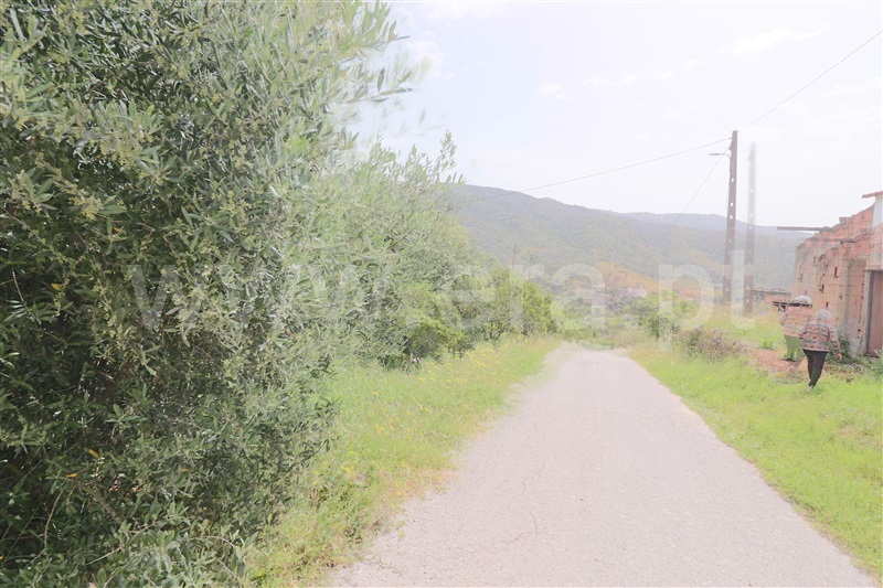 Moradia T3 à venda em Alte, Loulé — foto 16