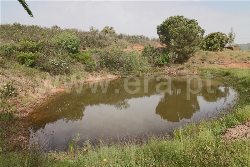 Moradia T3 à venda em Alte, Loulé — foto 19