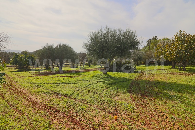 Moradia T3 à venda em Loulé (São Clemente), Loulé — foto 19