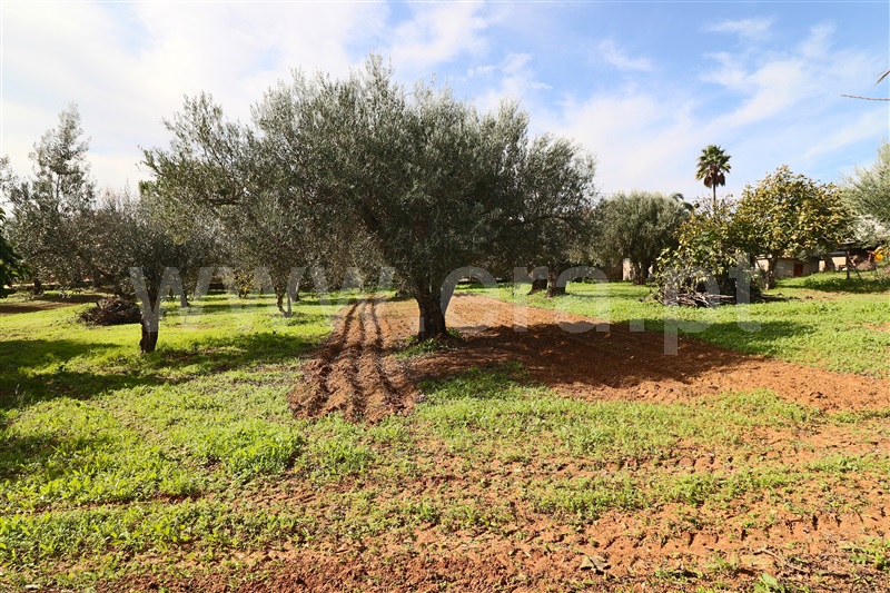 Moradia T3 à venda em Loulé (São Clemente), Loulé — foto 20