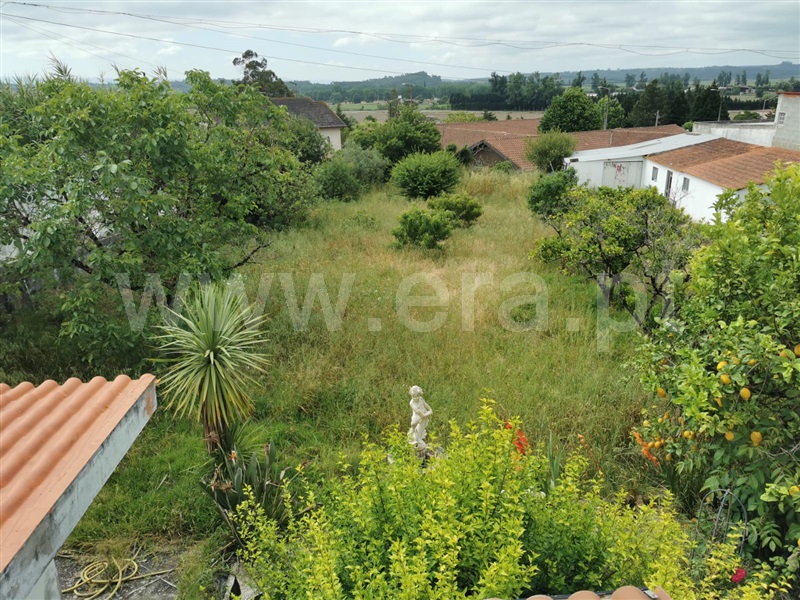 Moradia Isolada T3 Montemor-o-Velho, Montemor-o-Velho - 1486663 - 20